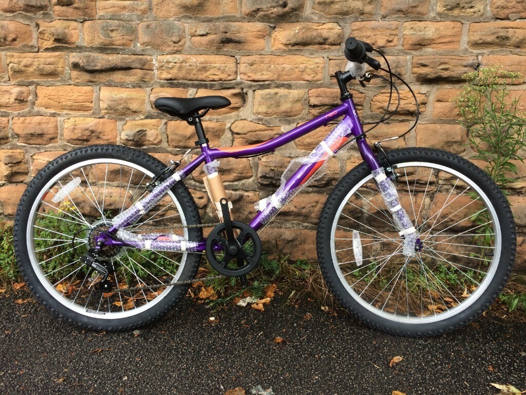 british eagle neo 24